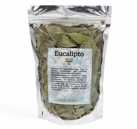 Eucalipto