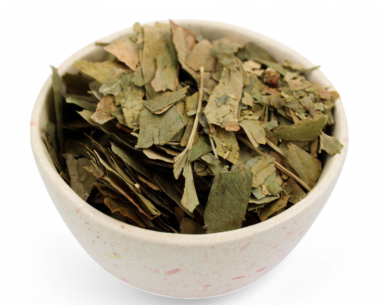 Ginkgo Biloba
