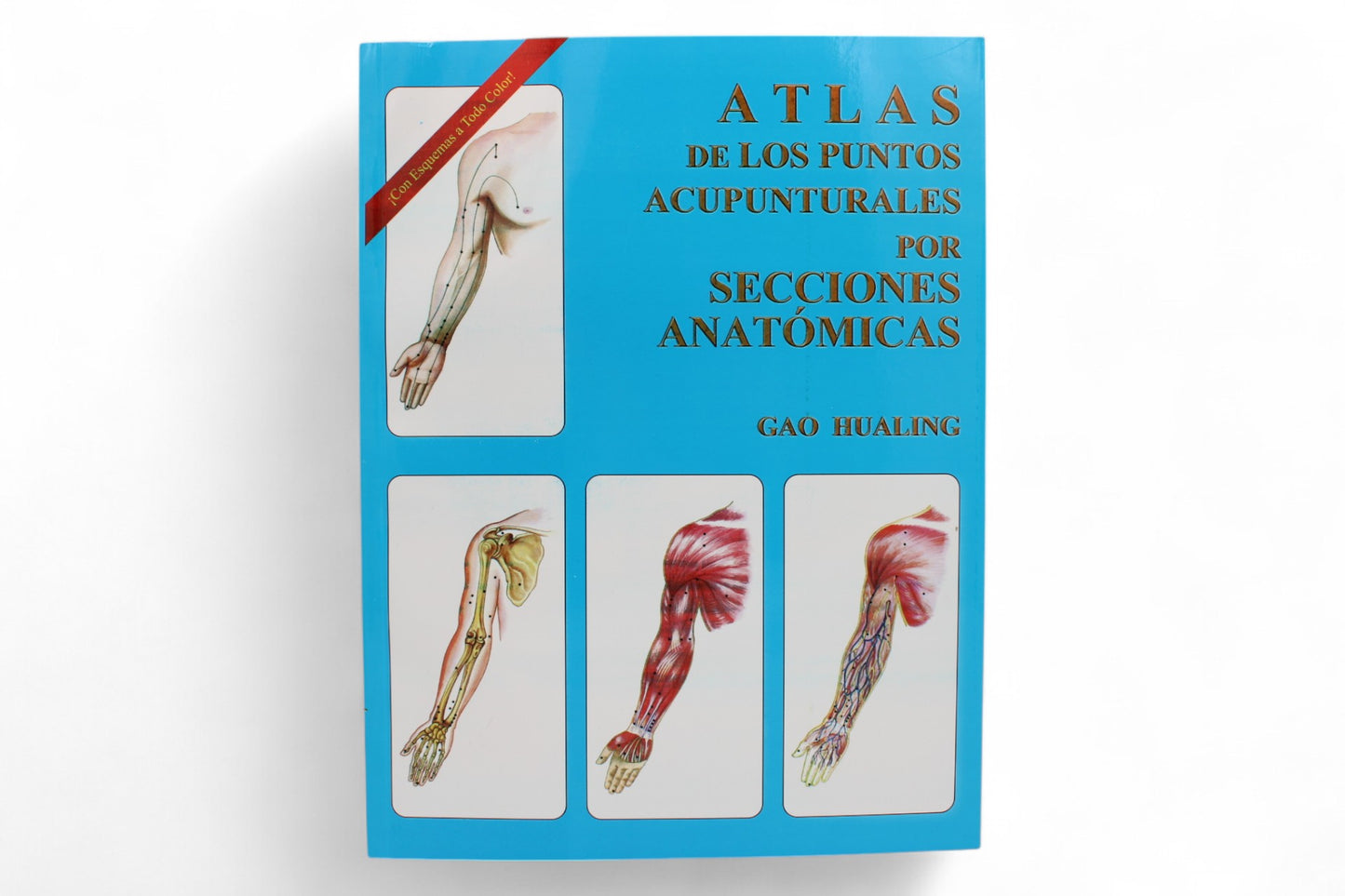 Atlas de los Puntos Acupunturales- Gao Hualing