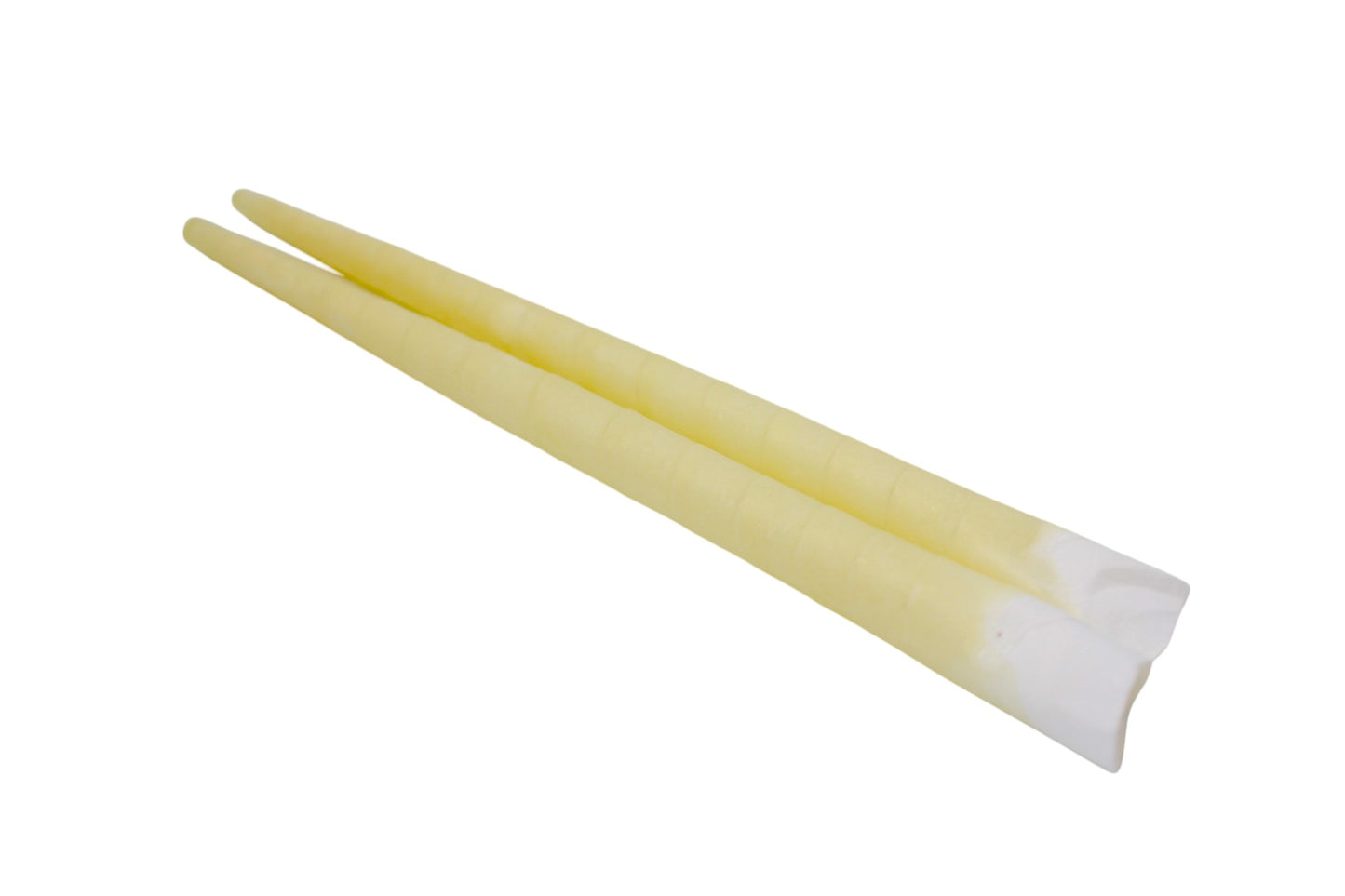 Conos de Cera de Abeja