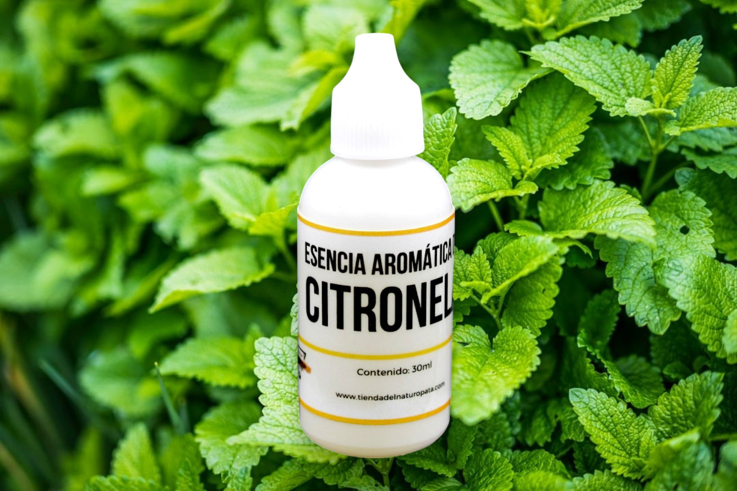 Esencias Aromáticas (30ml) -Elaboración de Velas, Jabones y Cosmética