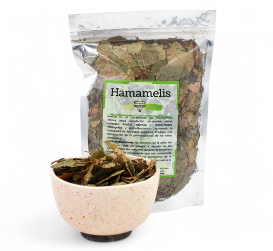 Hamamelis
