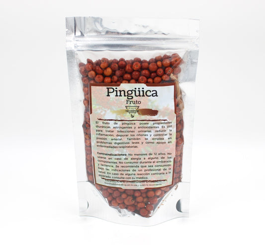 Pingüica (Fruto)
